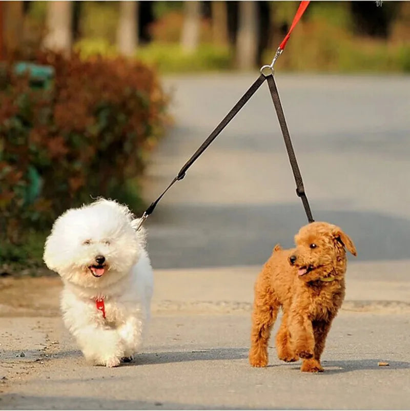 Double Dose of Fun: Walk Two Pups at Once with This Stylish and Durable Leash