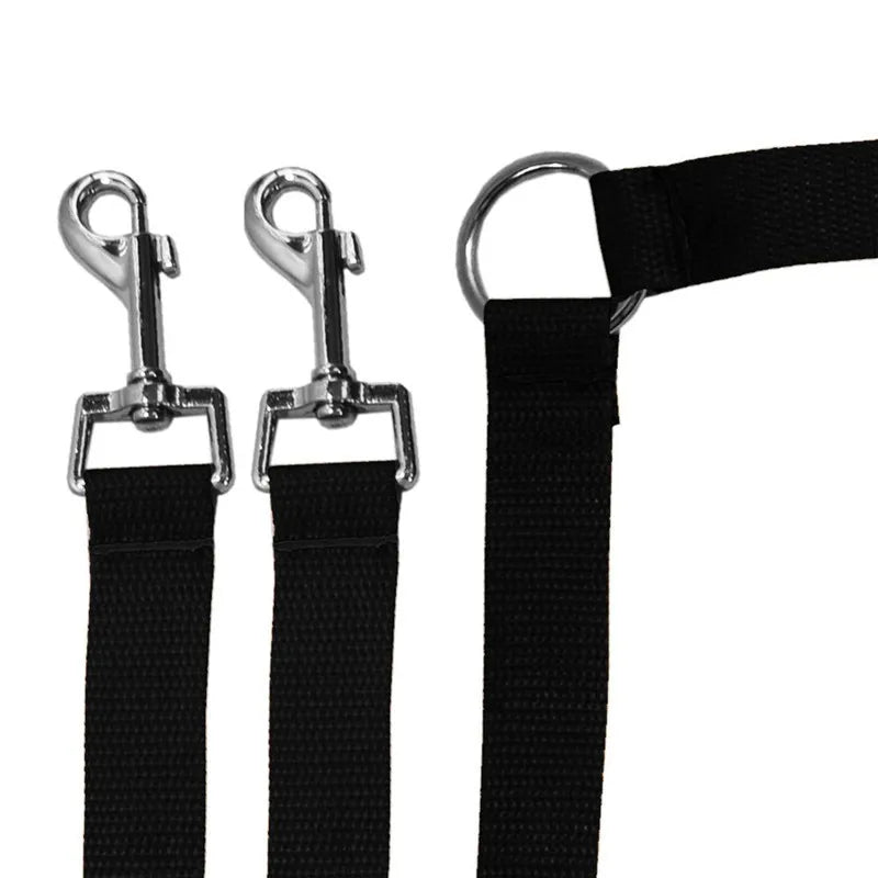 Double Dose of Fun: Walk Two Pups at Once with This Stylish and Durable Leash