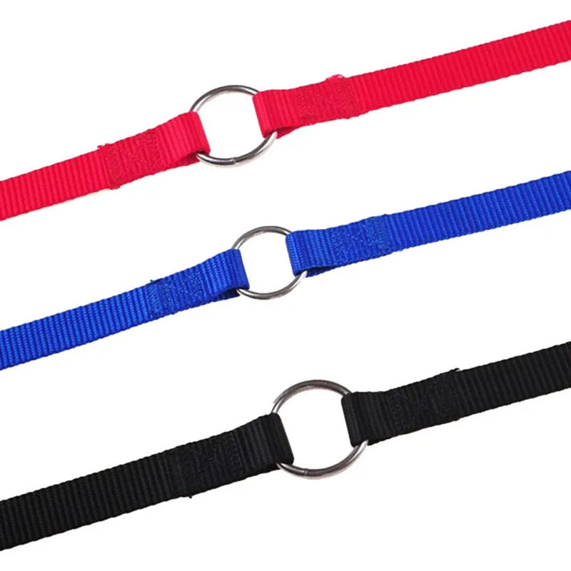 Double Dose of Fun: Walk Two Pups at Once with This Stylish and Durable Leash