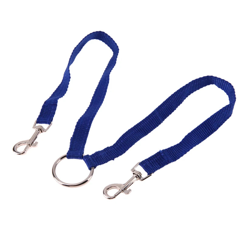 Double Dose of Fun: Walk Two Pups at Once with This Stylish and Durable Leash