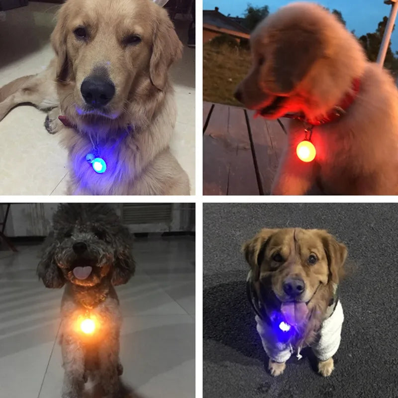 LED Pet Protector: Keep Your Furry Friend Safe and Visible with a Flashing LED Collar