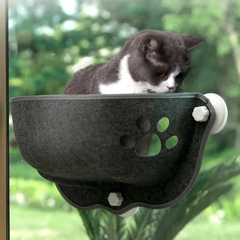 The Window Wonderland: A relaxing view for your cat to enjoy