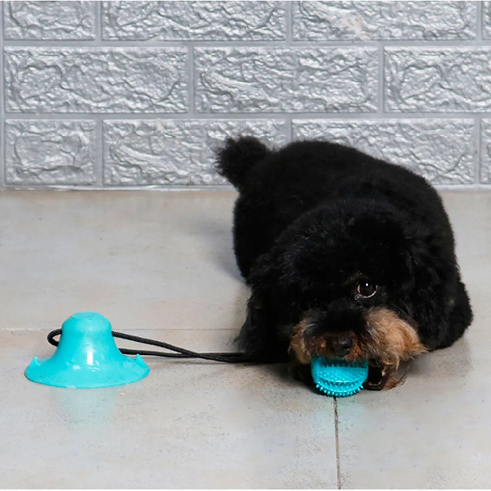 Playtime Pals: Engaging Toys That Keep Your Dog Entertained