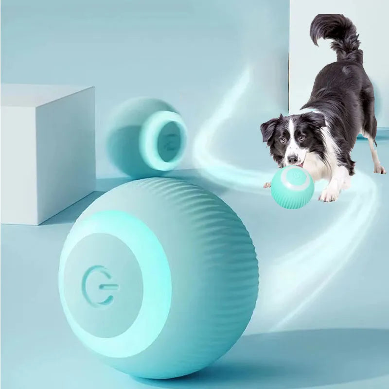 The Smart Pet's Toy: toys that will challenge and stimulate your pet's mind