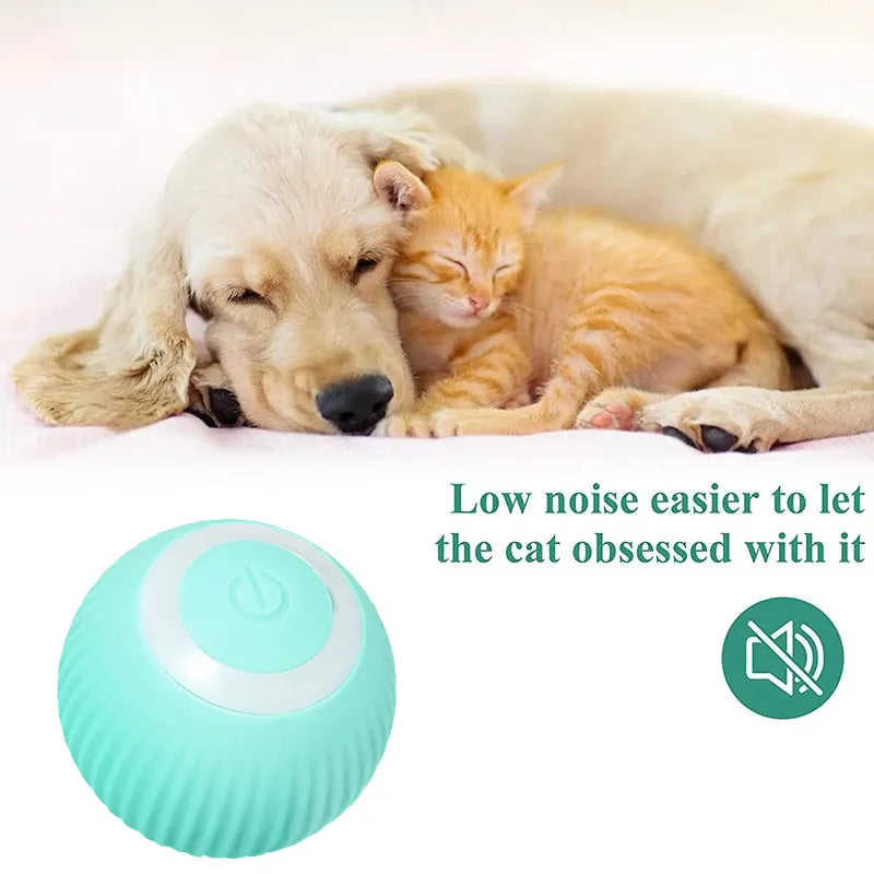 The Smart Pet's Toy: toys that will challenge and stimulate your pet's mind