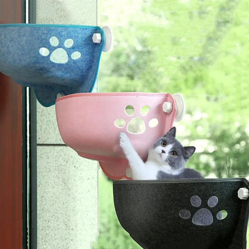 The Window Wonderland: A relaxing view for your cat to enjoy